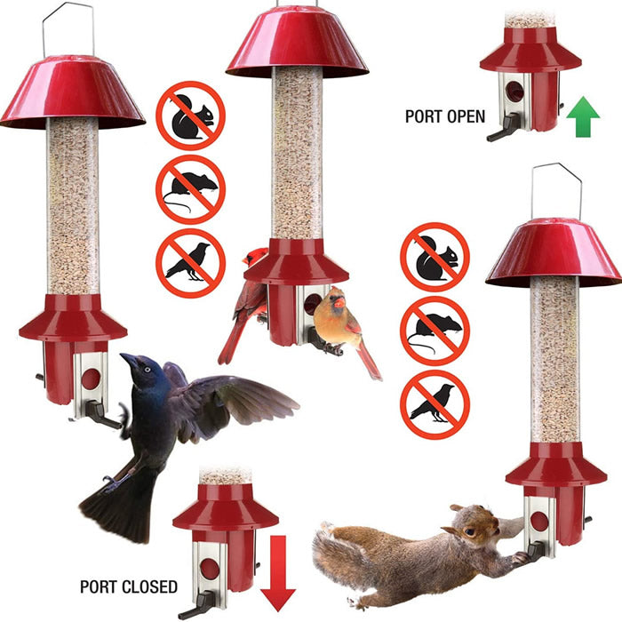 PestOff Squirrel Proof Feeder, Red, with spring-operated perches and a clear seed tube, surrounded by various birds and a squirrel attempting to access it.