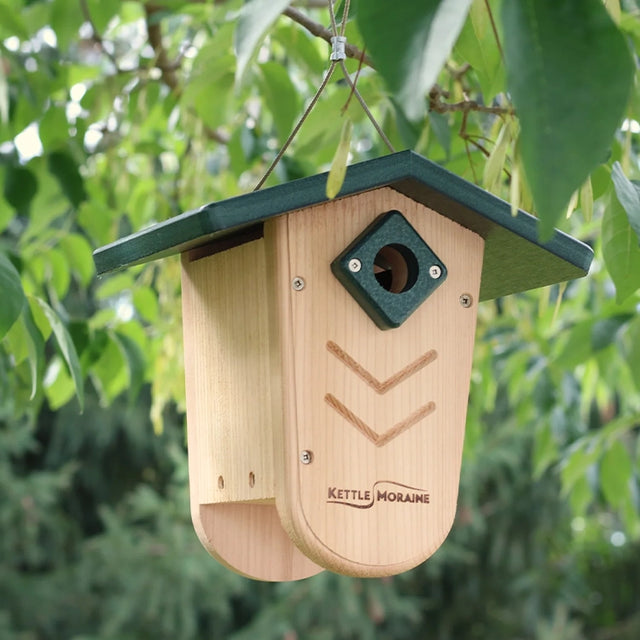 Cedar hanging birdhouse with green recycled plastic roof suspended from a tree branch.