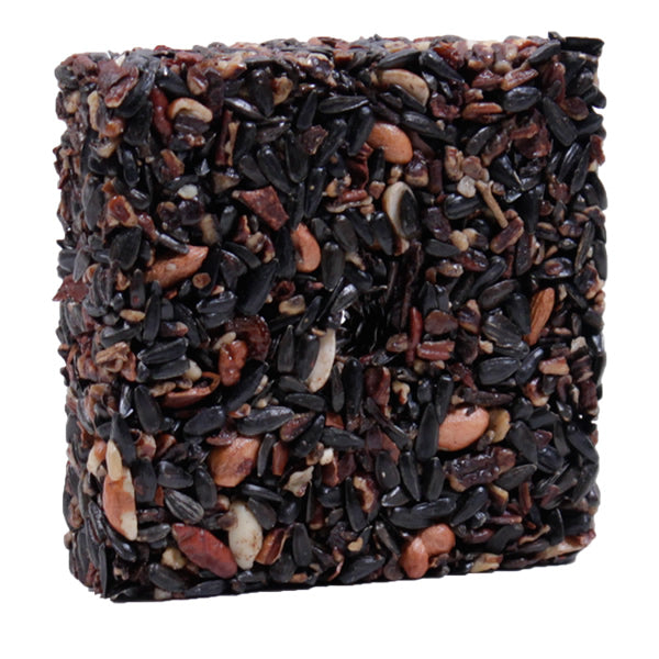 Woodpecker Feast Block Small, Set of 3: square-shaped edible treats with sunflower seeds, peanuts, pecans, and raisins, bound by clear gelatin, fitting standard seed or suet feeders.