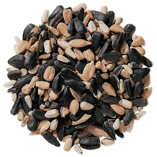 Duncraft Cardinal Delight Wild Bird Seed, 5-lb bag; a premium blend of black-oil sunflower seeds and safflower kernels, ideal for attracting cardinals.