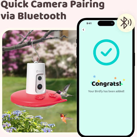 Birdfy Ruby Hummingbird Feeder with Camera shown hanging above a red feeder, with hummingbirds nearby and a smartphone displaying successful Bluetooth pairing.