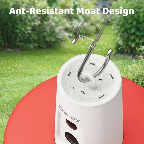 Birdfy Ruby Hummingbird Feeder with Camera, featuring a moat-style ant barrier for ant resistance.