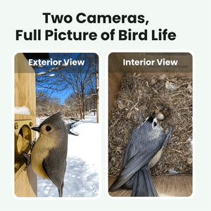 Two cameras showing exterior and interior views of a bird, with text 'Two Cameras, Full Picture of Bird Life'.