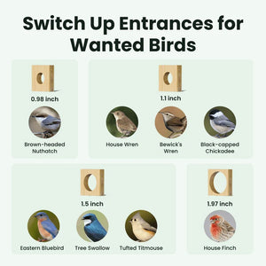Chart showing different bird species and their corresponding entrance sizes for birdhouses.