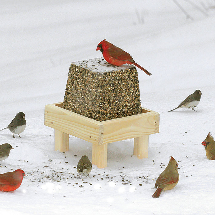 Duncraft Jumbo Block Platform feeder with birds perched around it, snow-covered ground, and wire mesh grid for drainage.