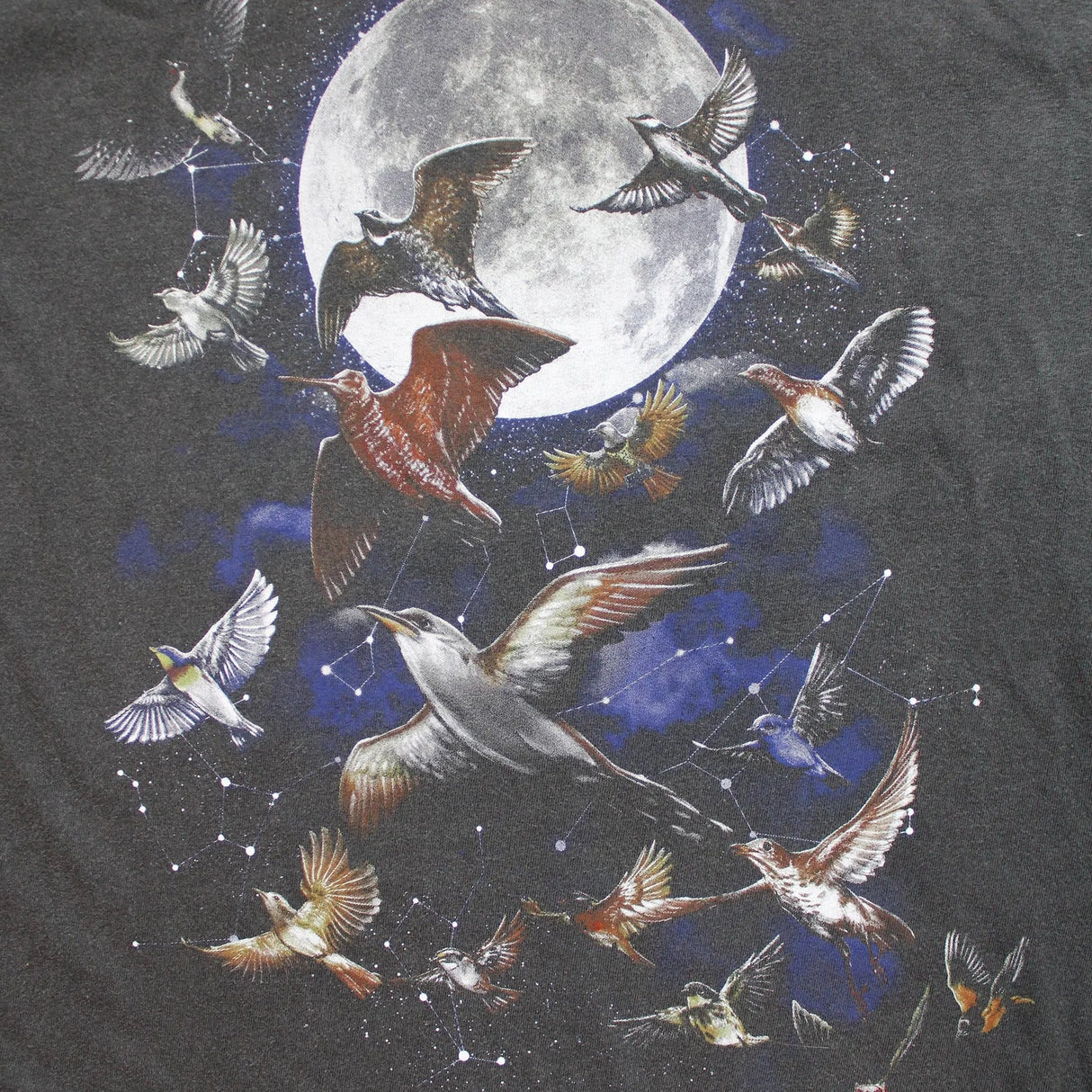 Bird Collective Night Migration Vintage T-Shirt featuring illustrated birds and moon, symbolizes bird migration. Made of 100% heavyweight cotton, unisex L-XL.