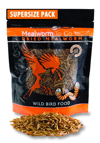 Dried Mealworms To Go, 17.64 oz. resealable bag with cartoon characters, shown with a bowl of dried mealworms, ideal for year-round bird feeding.