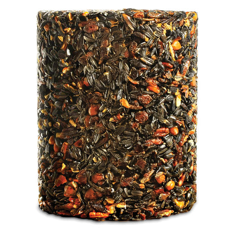 Woodpecker Feast Cylinder Large: Compressed seed and nut block for birds, featuring black-oil sunflower seeds, peanuts, pecans, and raisins in a 6x6x7.75-inch shape.