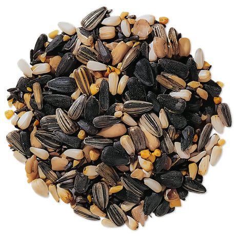 Duncraft Super Songbird Mix Wild Bird Seed, 5-lb bag, featuring a blend of sunflower seeds, Nyjer® seed, and peanut bits, ideal for attracting colorful songbirds.