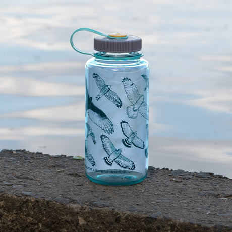 Hawks in Flight Nalgene Water Bottle, Seafoam, featuring bird illustrations on glass, wide mouth, 32 oz, BPA/BPS-free, on a rock outdoors.