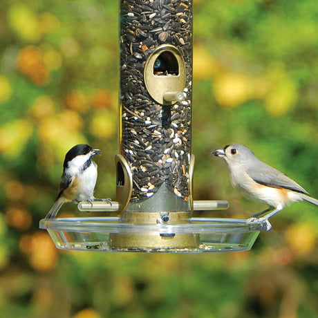 Aspects Round Seed Tray attached to bird feeder, catching scattered seed. Two birds perched on the feeder, utilizing built-in perching space.