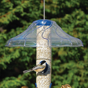 Aspects Fancy Swirl Dome weather protector on bird feeder, keeping seed dry for birds. Clear plastic, 14-inch diameter, no hardware needed.
