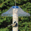 Aspects Fancy Swirl Dome weather protector on bird feeder, keeping seed dry for birds. Clear plastic, 14-inch diameter, no hardware needed.