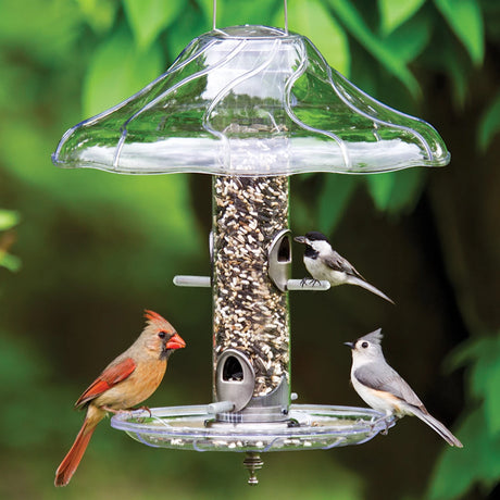 Aspects Brushed Nickel Tube Feeder Set with mixed seed, three songbirds perched; features four feeding ports, clear tube, and weather-protective baffle.