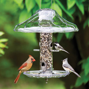 Aspects Brushed Nickel Tube Feeder Set with birds perched on feeder, featuring a clear plastic baffle and multiple feeding ports for easy bird watching.