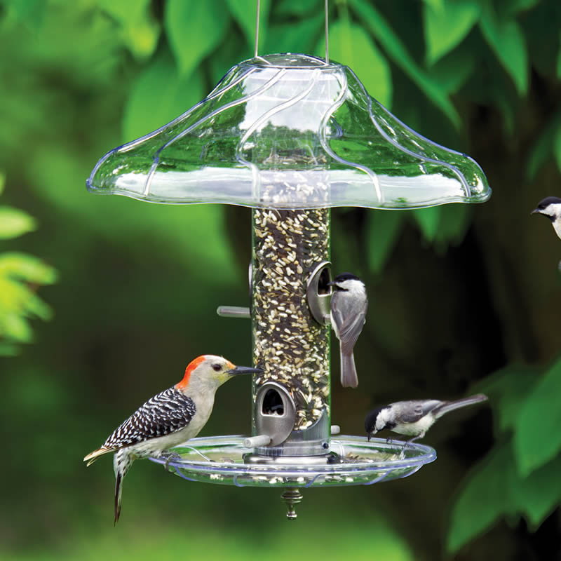 Aspects Brushed Nickel Tube Feeder Set with birds perched, featuring a clearview plastic tube, four feeding ports, and a weather dome baffle.