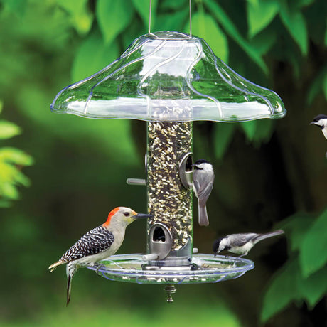 Aspects Brushed Nickel Tube Feeder Set with birds perched, featuring a clearview plastic tube, four feeding ports, and a weather dome baffle.