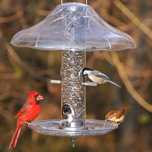 Aspects Brushed Nickel Tube Feeder Set with birds feeding, featuring a clear tube, metal ports, and a protective baffle.