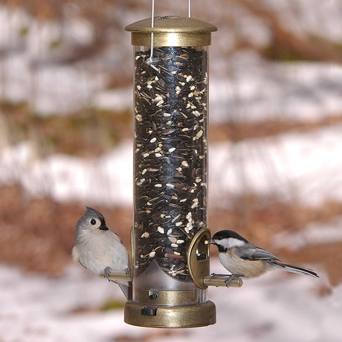 Aspects Antique Brass 2 Port Tube Feeder with birds perched, showcasing its sturdy design and easy-clean base, ideal for attracting wildlife to your yard.