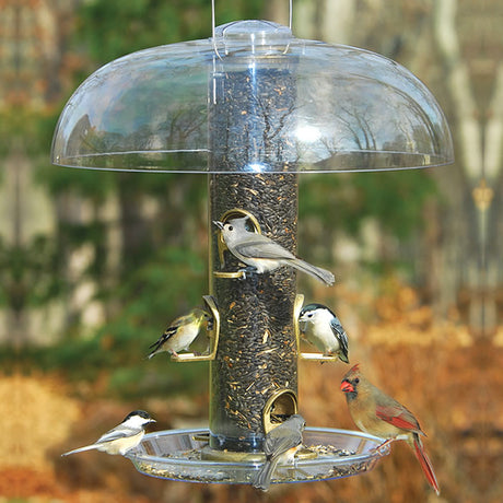 Aspects Antique Brass Big Tube Feeder Set with birds feeding, featuring six ports, U-shaped perches, and a clear plastic baffle.