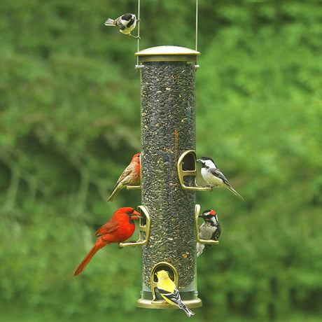 Aspects Antique Brass Big Tube Feeder with birds feeding, featuring six ports, a clear plastic tube, and a quick-release bottom tray for easy cleaning.