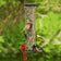 Aspects Spruce Big Tube Feeder with six feeding ports, clear plastic tube, and cardinals feeding on U-shaped perches.