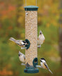 Aspects Spruce Tube Feeder with multiple birds eating from four ports on a clear plastic tube, showcasing its sturdy metal design and easy-clean base.