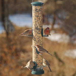 Aspects Large Spruce Tube Feeder with six perching areas, clearview plastic tube, and a quick-release base, shown with multiple birds feeding.