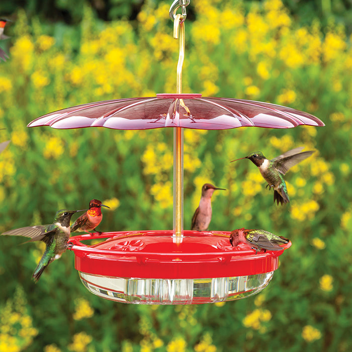 Aspects High View HummZinger & HummBella Dome hummingbird feeder with elevated perches, umbrella dome, and four feeding stations, showcasing multiple hummingbirds feeding.