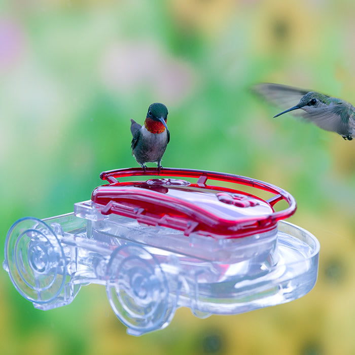 Gem Window Hummingbird Feeder & Ant Moat with two feeding ports, clear basin, and red top, mounted on a transparent surface with hummingbirds feeding.