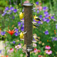 Aspects Finch Brushed Nickel Tube Feeder with finches perched, featuring eight feeding ports and a clear tube for seed levels.