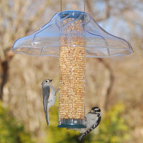Bird feeder with two birds perched on it against a natural background