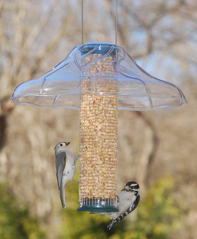 Aspects Spruce Peanut Silo Feeder & Baffle with a woodpecker eating from the sturdy, easy-to-fill mesh feeder, featuring a clear weather baffle.