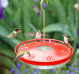 Aspects HummZinger High View Excel hummingbird feeder with multiple birds feeding, featuring a high perch, clear basin, and red cover.