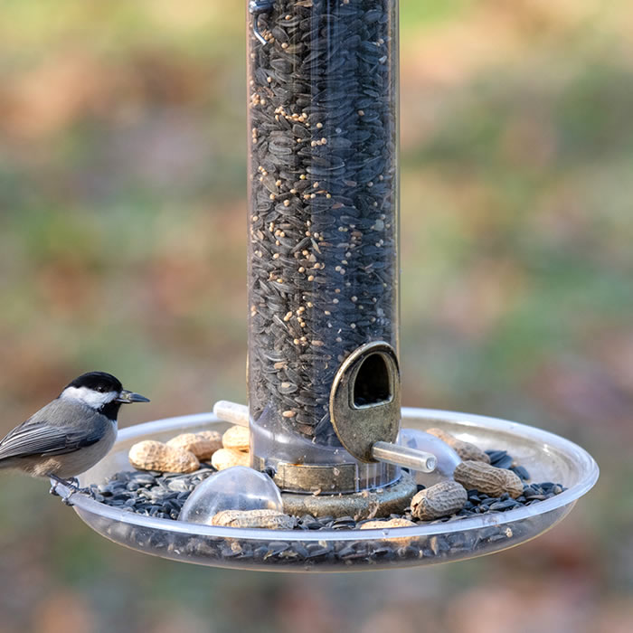 Aspects 10 Quick Clean Seed Tray attached to a bird feeder, with a bird perched on it, designed to catch scattered seed and keep areas clean.