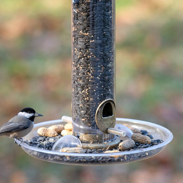 Aspects 10 Quick Clean Seed Tray attached to a bird feeder, with a bird perched on it, designed to catch scattered seed and keep areas clean.