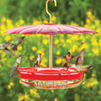 Aspects High View HummZinger & HummBella Dome hummingbird feeder with multiple birds feeding, featuring elevated perches, a weather dome, and four feeding stations.