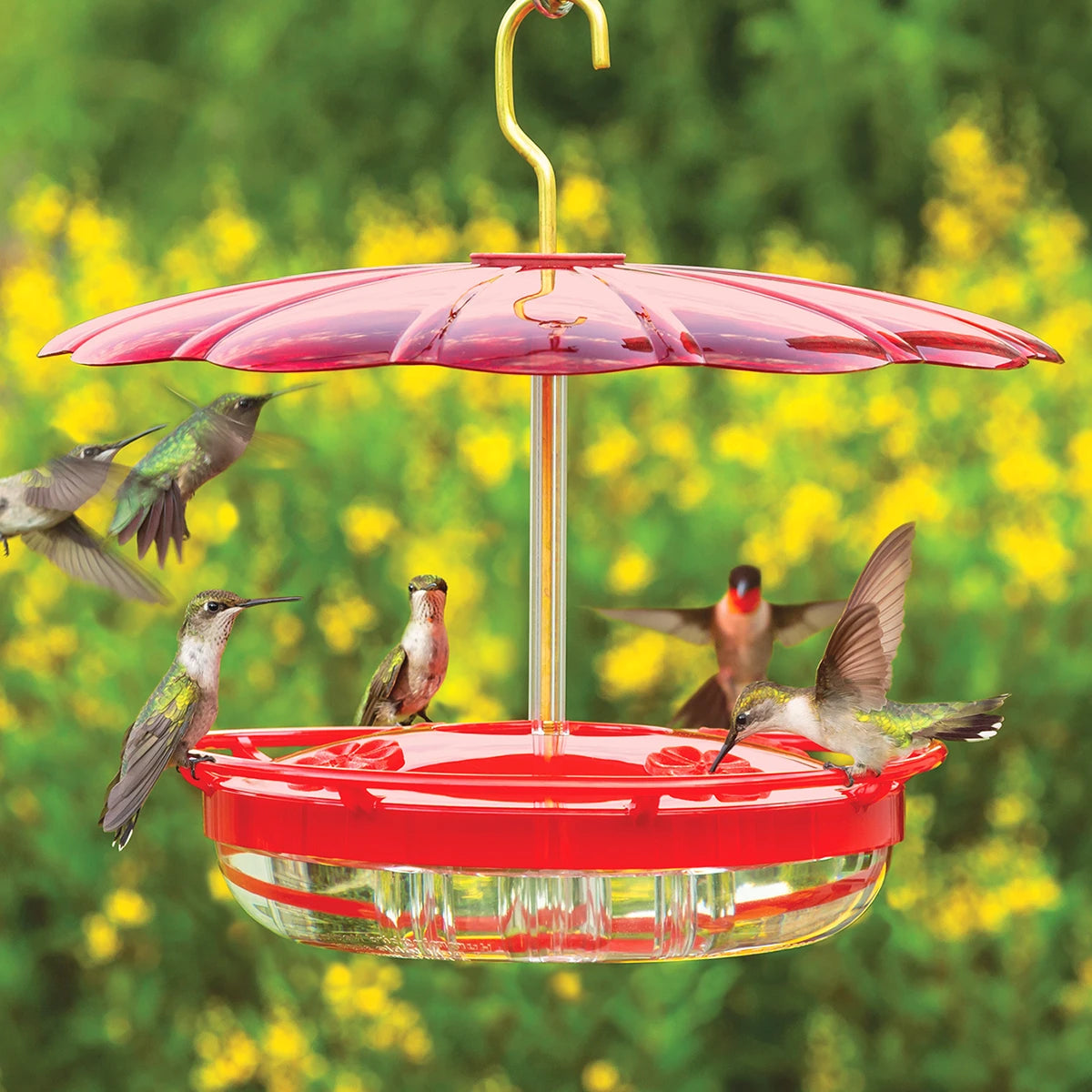 Aspects High View HummZinger & HummBella Dome hummingbird feeder with multiple birds feeding, featuring elevated perches, a weather dome, and four feeding stations.