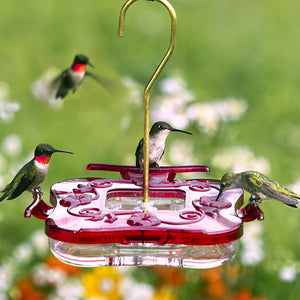 Aspects Square HighView Hummingbird Feeder with four feeding ports, clear basin for nectar levels, and ant moat for insect protection.