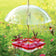 Aspects Square HighView Hummingbird Feeder & Dome with three hummingbirds feeding, featuring four ports, clear basin, ant moat, and protective dome.