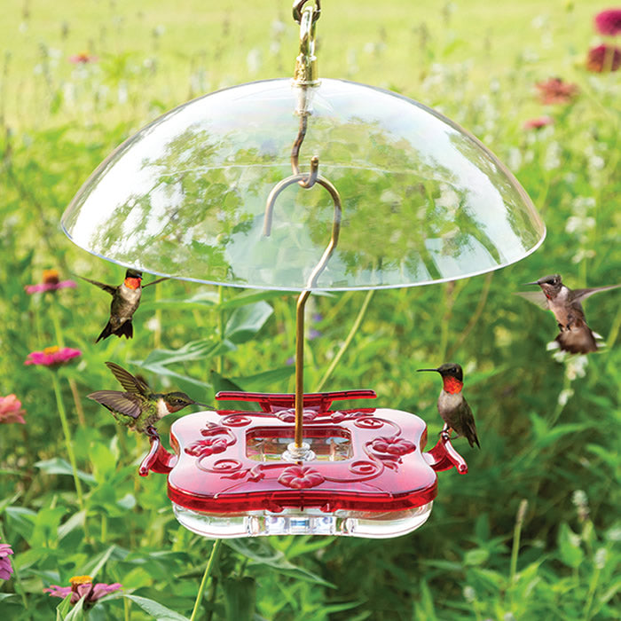 Aspects Square HighView Hummingbird Feeder & Dome with four feeding ports, 8 oz. capacity, clear basin, and red top, attracting hummingbirds.