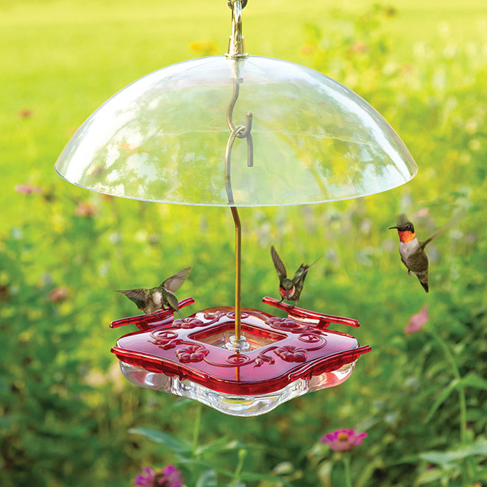 Aspects Square HighView Hummingbird Feeder & Dome with four feeding ports and HighView perches, featuring an 8 oz. clear basin and red plastic top.