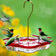 Aspects Square HighView Hummingbird Feeder with red top, clear basin, ant moat, and four feeding ports, showing hummingbirds feeding and resting.