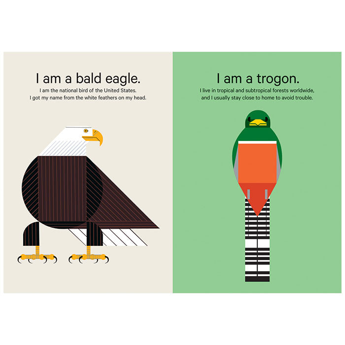 Charley Harper’s Sticky Birds: An Animal Sticker Kit with two bird posters and an orange cup displayed on a green background.