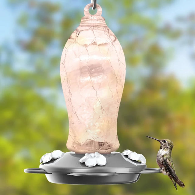 Artisan Gravity Hummingbird Feeder, Blush Crackle, with a hummingbird perched on a sturdy, crackle glass feeder featuring four flower-shaped feeding ports and a pewter-colored base.