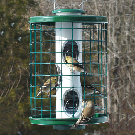 Heavy-Duty Mixed Seed bird feeder with a protective metal cage, allowing birds to feed safely while deterring squirrels, featuring six clear feeding ports and a sturdy seed tray.