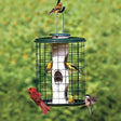 Heavy-Duty Mixed Seed bird feeder with multiple birds perched and feeding. Ideal for outdoor bird feeding enthusiasts.