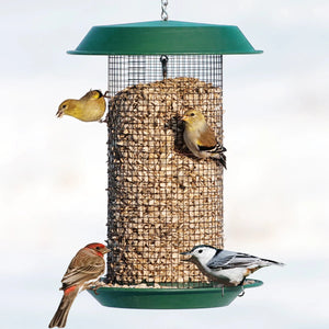 Plastic Magnum Sunflower Feeder with wired grid, multiple birds perched and feeding, overhanging roof, and a seed tray at the bottom for additional feeding space.