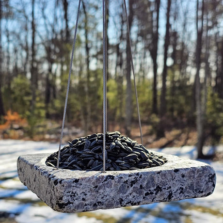 Alfresco Platform Dish Bird Feeder filled with sunflower seeds, made from reclaimed granite, featuring a rustic design and cable hanger for outdoor use.