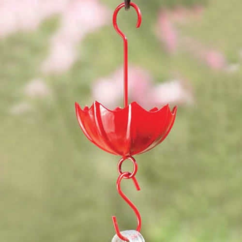 Umbrella Ant Moat, Red, hanging from a hook, designed to keep ants out of hummingbird nectar with its umbrella shape.